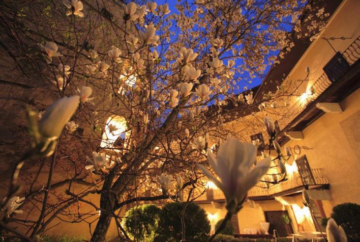 Sebersdorf Schlosshotel Obermayerhofen מראה חיצוני תמונה